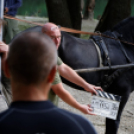 Vándorszínészek Dunaszigeten (Fotó: Horváth Attila)