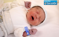 Pásztor Bence, Lipót