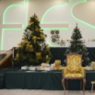 VÁROSI MIKULÁS NAP