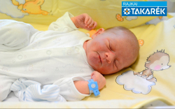 Kiss Botond, Mosonmagyaróvár