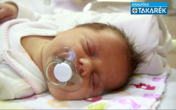 Török Lara Erzsébet, Bősárkány