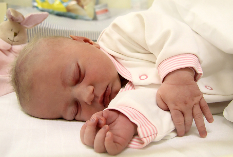 Végh Luca, Mosonszolnok