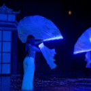 Japán Kert (Fotó: Horváth Attila)