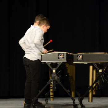 Növendékhangverseny