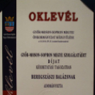 Múltunk őrzője Beregszászi Balázs