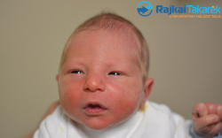 Kapui Ármin, 3350 gr. Feketeerdő