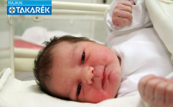 Hegyi Szofi, Kapuvár