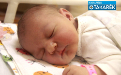 Pityer Júlia Dóra, Győr