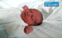 Nagy Rudolf, Mosonmagyaróvár