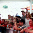 XI. Szigetköz ízei, Vármegye borai Fesztivál 3. nap