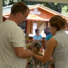 XII. Szigetköz ízei, Vármegye borai Fesztivál 3. nap