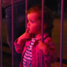 XI.Szigetköz ízei, Vármegye borai Fesztivál 1. nap