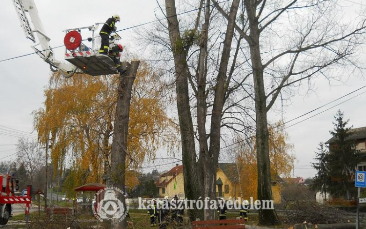 Nem okozott gondot a havazás 