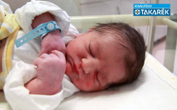 Kanczler Tamás Benett, Mosonmagyaróvár