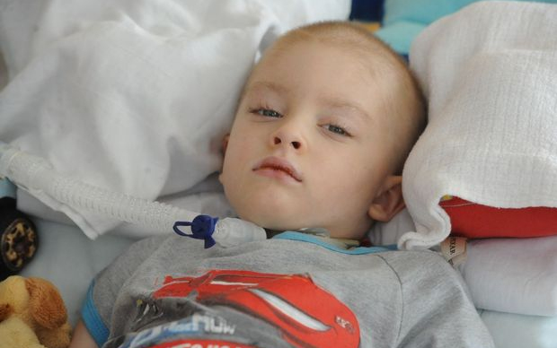 Bihari Kristófnak gyűjt idén az Ad Flexum Caritas csapata