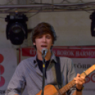 Szigetköz ízei, Vármegye borai Fesztivál (vasárnap) (Fotó: Horváth Attila)