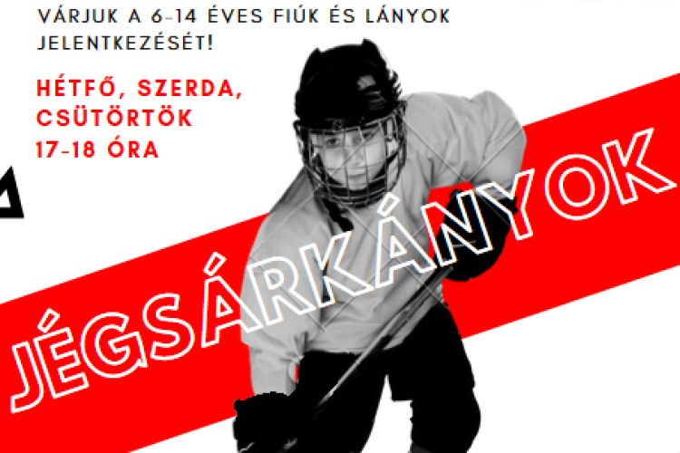 Legyél Te is jégsárkány! - galériával