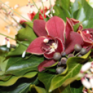 1956-os szellemi vetélkedő