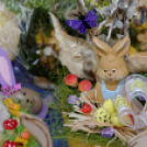 Szigetközi Szatyor - Ragyogj KÉKEN! (Fotó: Horváth Attila)