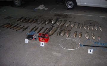 Másfél milliós kárt okoztak az orvhalászok