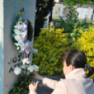 Költészet napi koszorúzás Ady Endre szobornál (Fotó: Nagy Mária)