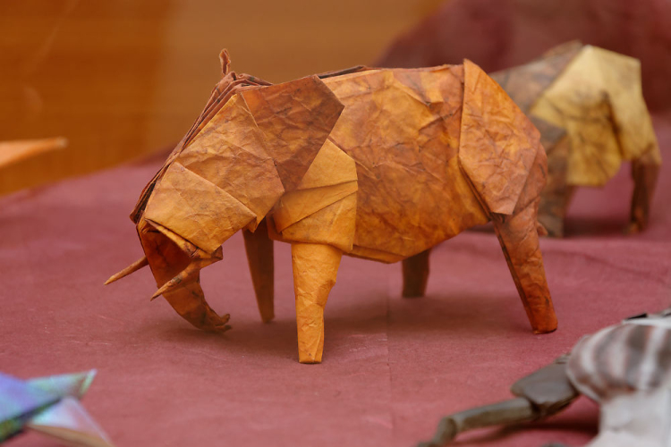 Az állatok világnapja, Leczkésy László origami kiállításának megnyitója (fotó: Horváth Attila)