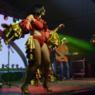 XII. Szigetköz ízei, Vármegye borai Fesztivál 2. nap