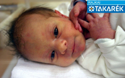 Pingicer Gergő, Mosonmagyaróvár