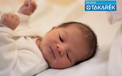 Szabó Nimród, Hédervár