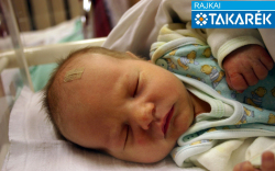 Földes Olivér Tamás, Mosonmagyaróvár