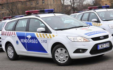 Jegyvizsgálóra támadt a bliccelő