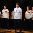 20 éves a Fehér Ló Közösségi Ház jubileumi műsor