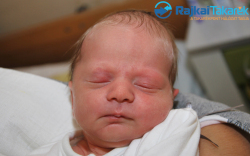 Takó Bende, 3050 gr. Tárnokréti