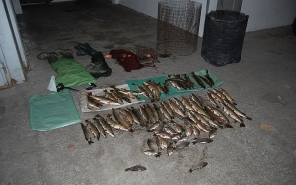 Engedély nélkül, tiltott eszközzel horgásztak