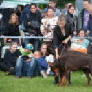 CAC kutyakiállítás (Fotó: Nagy Mária)