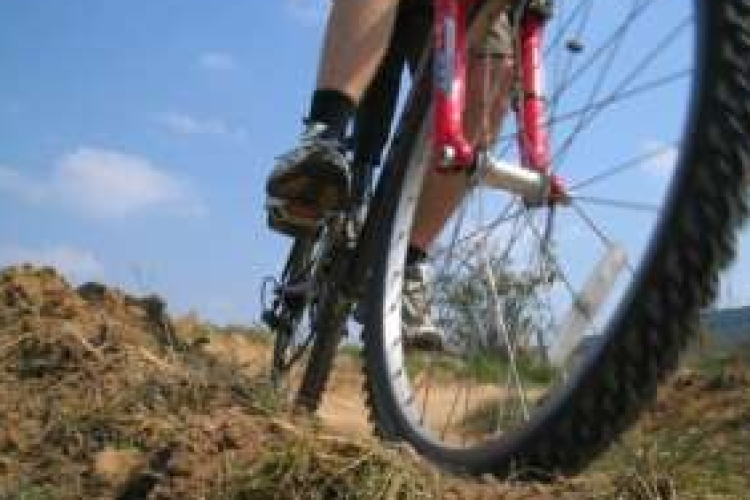 Családi kerékpártúra