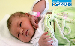 Szabó Laura, Barkacs