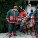 Flesch Karácsony (fotó: Horváth Attila)