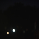 Kegyeleti megemlékezés a Gyásztéren (Fotó: Nagy Mária)