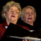 Magyar Kultúra Napja - városi ünnepség (Fotó: Stipkovits Veronika)