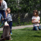 Az Ebuló Kutyaiskola interaktív kutyás bemutatója a Pillangó óvodában (Fotó: Stipkovits Veronika)