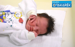 Gregus Balázs Gábor, Öttevény