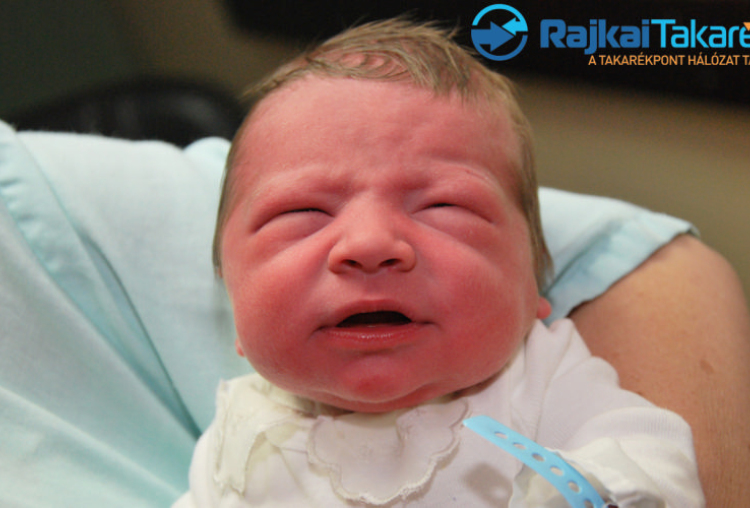 Fehérvizi Nimród, 3140 gr. Mosonmagyaróvá