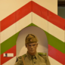 56 emlékezete Mosonmagyaróváron és környékén 