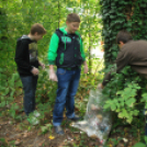 Szemétszedés a Kiserdőben (Fotó: Nagy Mária)