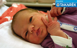 Farkas Dorina Ibolya, Mosonmagyaróvár