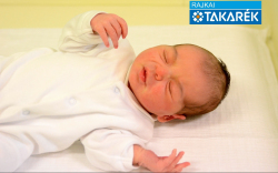 Dubi Jázmin, Halászi