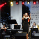 Tiszta Amerika - Vár-tó party