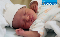 Molnár Krisztián, Sopron