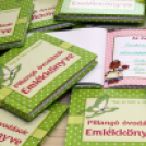 Évzáró műsor és Ballagás a Pillangó óvodában (Fotó: Stipkovits Veronika)